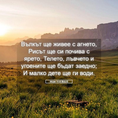 Picture 05 - Исая 11:6 BULG - Вълкът ще живее с агнето, - Bible Verse Picture