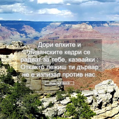Picture 05 - Исая 14:8 BULG - Дори елхите и ливанските - Bible Verse Picture