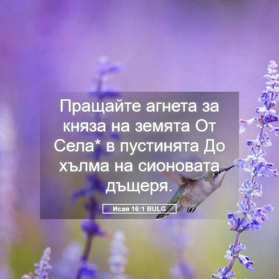 Picture 05 - Исая 16:1 BULG - Пращайте агнета за княза - Bible Verse Picture