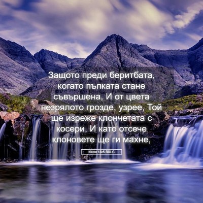 Picture 05 - Исая 18:5 BULG - Защото преди беритбата, - Bible Verse Picture