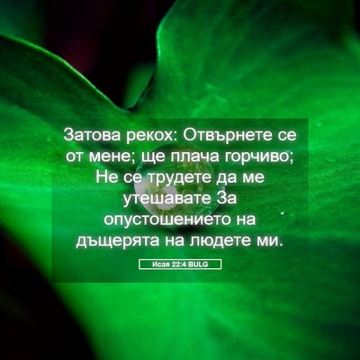 Picture 05 - Исая 22:4 BULG - Затова рекох: Отвърнете се - Bible Verse Picture