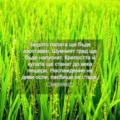 Picture 05 - Исая 32:14 BULG - Защото палата ще бъде - Bible Verse Picture