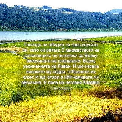 Picture 05 - Исая 37:24 BULG - Господа си обидил ти чрез - Bible Verse Picture