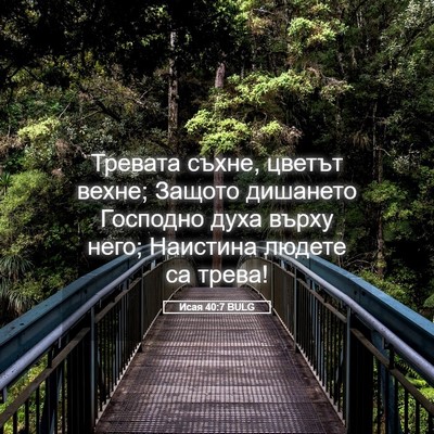 Picture 05 - Исая 40:7 BULG - Тревата съхне, цветът - Bible Verse Picture