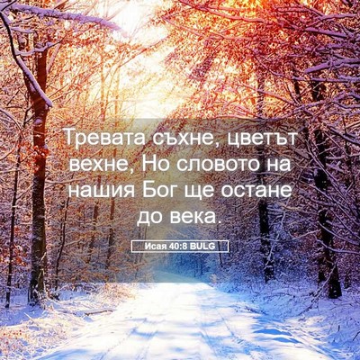 Picture 05 - Исая 40:8 BULG - Тревата съхне, цветът - Bible Verse Picture