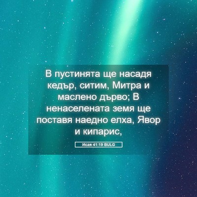 Picture 05 - Исая 41:19 BULG - В пустинята ще насадя - Bible Verse Picture