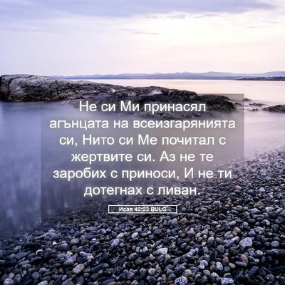 Picture 05 - Исая 43:23 BULG - Не си Ми принасял агънцата - Bible Verse Picture