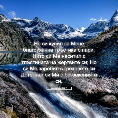 Picture 05 - Исая 43:24 BULG - Не си купил за Мене - Bible Verse Picture