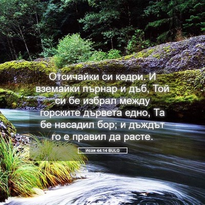 Picture 05 - Исая 44:14 BULG - Отсичайки си кедри. И - Bible Verse Picture