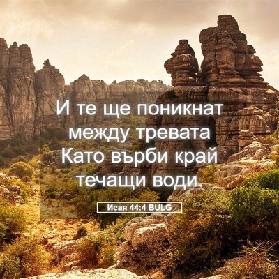 Picture 05 - Исая 44:4 BULG - И те ще поникнат между - Bible Verse Picture