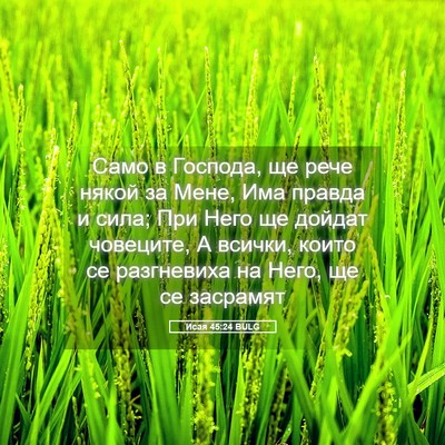 Picture 05 - Исая 45:24 BULG - Само в Господа, ще рече - Bible Verse Picture