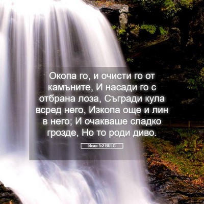 Picture 05 - Исая 5:2 BULG - Окопа го, и очисти го от - Bible Verse Picture