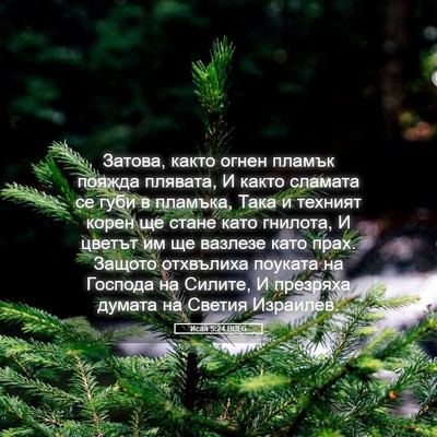 Picture 05 - Исая 5:24 BULG - Затова, както огнен пламък - Bible Verse Picture