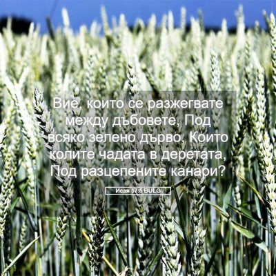Picture 05 - Исая 57:5 BULG - Вие, които се разжегвате - Bible Verse Picture