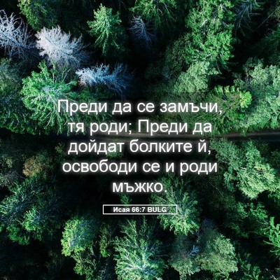 Picture 05 - Исая 66:7 BULG - Преди да се замъчи, тя роди; - Bible Verse Picture