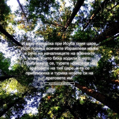 Picture 05 - Исус Навиев 10:24 BULG - И като изведоха при Исуса - Bible Verse Picture