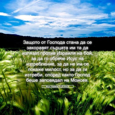 Picture 05 - Исус Навиев 11:20 BULG - Защото от Господа стана да - Bible Verse Picture