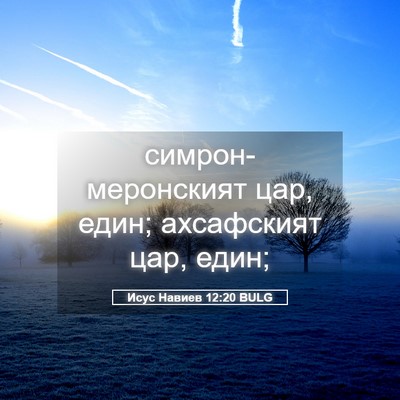 Picture 05 - Исус Навиев 12:20 BULG - симрон-меронският цар, - Bible Verse Picture