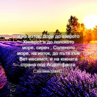 Picture 05 - Исус Навиев 12:3 BULG - и на изток, дори до езерото - Bible Verse Picture