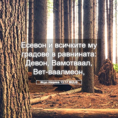 Picture 05 - Исус Навиев 13:17 BULG - Есевон и всичките му - Bible Verse Picture