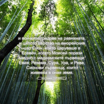 Picture 05 - Исус Навиев 13:21 BULG - и всичките градове на - Bible Verse Picture