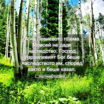 Picture 05 - Исус Навиев 13:33 BULG - А на Левиевото племе - Bible Verse Picture