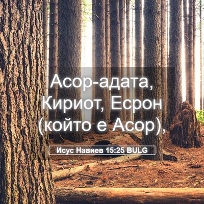 Picture 05 - Исус Навиев 15:25 BULG - Асор-адата, Кириот, Есрон - Bible Verse Picture