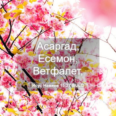 Picture 05 - Исус Навиев 15:27 BULG - Асаргад, Есемон, - Bible Verse Picture