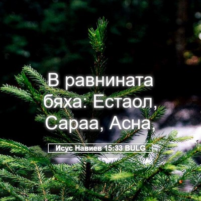 Picture 05 - Исус Навиев 15:33 BULG - В равнината бяха: Естаол, - Bible Verse Picture
