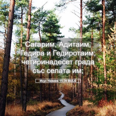 Picture 05 - Исус Навиев 15:36 BULG - Сагарим, Адитаим, Гедира и - Bible Verse Picture