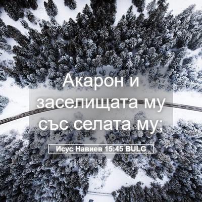 Picture 05 - Исус Навиев 15:45 BULG - Акарон и заселищата му със - Bible Verse Picture