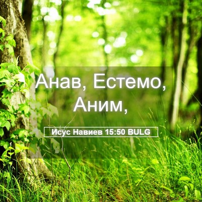 Picture 05 - Исус Навиев 15:50 BULG - Анав, Естемо, - Bible Verse Picture
