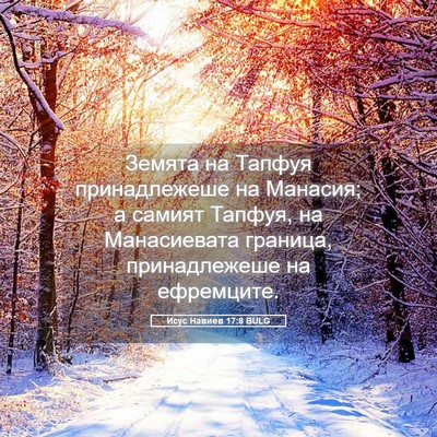 Picture 05 - Исус Навиев 17:8 BULG - Земята на Тапфуя - Bible Verse Picture
