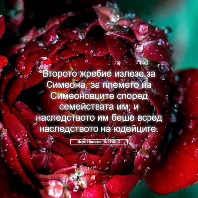 Picture 05 - Исус Навиев 19:1 BULG - Второто жребие излезе за - Bible Verse Picture