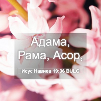 Picture 05 - Исус Навиев 19:36 BULG - Адама, Рама, - Bible Verse Picture