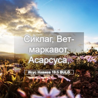Picture 05 - Исус Навиев 19:5 BULG - Сиклаг, Вет-маркавот, - Bible Verse Picture