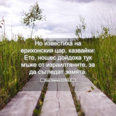 Picture 05 - Исус Навиев 2:2 BULG - Но известиха на ерихонския - Bible Verse Picture