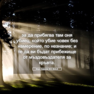 Picture 05 - Исус Навиев 20:3 BULG - за да прибягва там оня - Bible Verse Picture