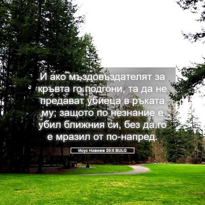 Picture 05 - Исус Навиев 20:5 BULG - И ако мъздовъздателят за - Bible Verse Picture