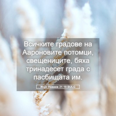 Picture 05 - Исус Навиев 21:19 BULG - Всичките градове на - Bible Verse Picture