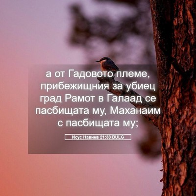 Picture 05 - Исус Навиев 21:38 BULG - а от Гадовото племе, - Bible Verse Picture