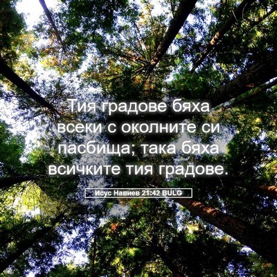 Picture 05 - Исус Навиев 21:42 BULG - Тия градове бяха всеки с - Bible Verse Picture