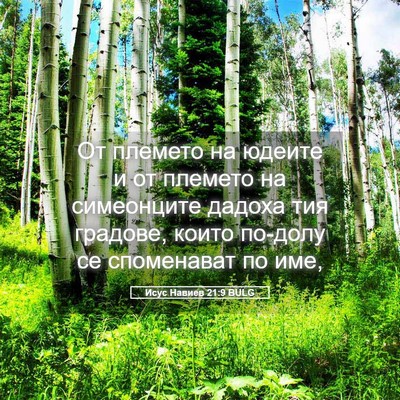 Picture 05 - Исус Навиев 21:9 BULG - От племето на юдеите и от - Bible Verse Picture