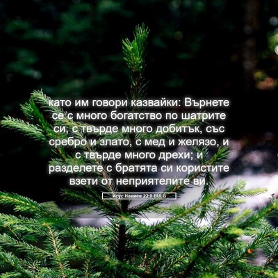 Picture 05 - Исус Навиев 22:8 BULG - като им говори казвайки: - Bible Verse Picture