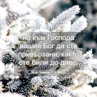 Picture 05 - Исус Навиев 23:8 BULG - но към Господа вашия Бог да - Bible Verse Picture