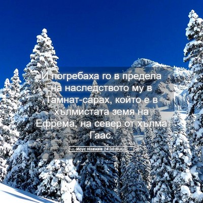 Picture 05 - Исус Навиев 24:30 BULG - И погребаха го в предела на - Bible Verse Picture