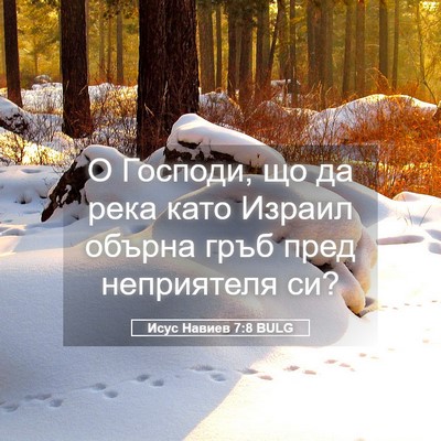 Picture 05 - Исус Навиев 7:8 BULG - О Господи, що да река като - Bible Verse Picture
