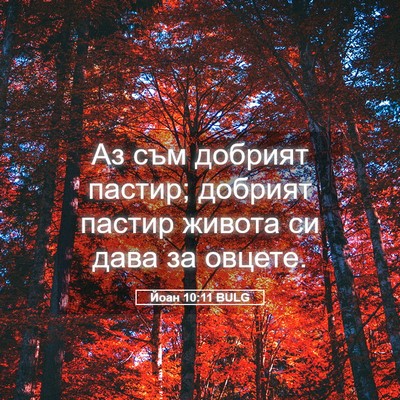Picture 05 - Йоан 10:11 BULG - Аз съм добрият пастир; - Bible Verse Picture