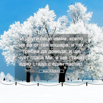 Picture 05 - Йоан 10:16 BULG - И други овце имам, които не - Bible Verse Picture