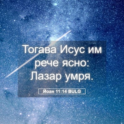 Picture 05 - Йоан 11:14 BULG - Тогава Исус им рече ясно: - Bible Verse Picture